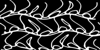 videofeedback-pattern-sechser(c)BarbaraDoser