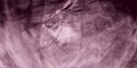 fatal plastic_06